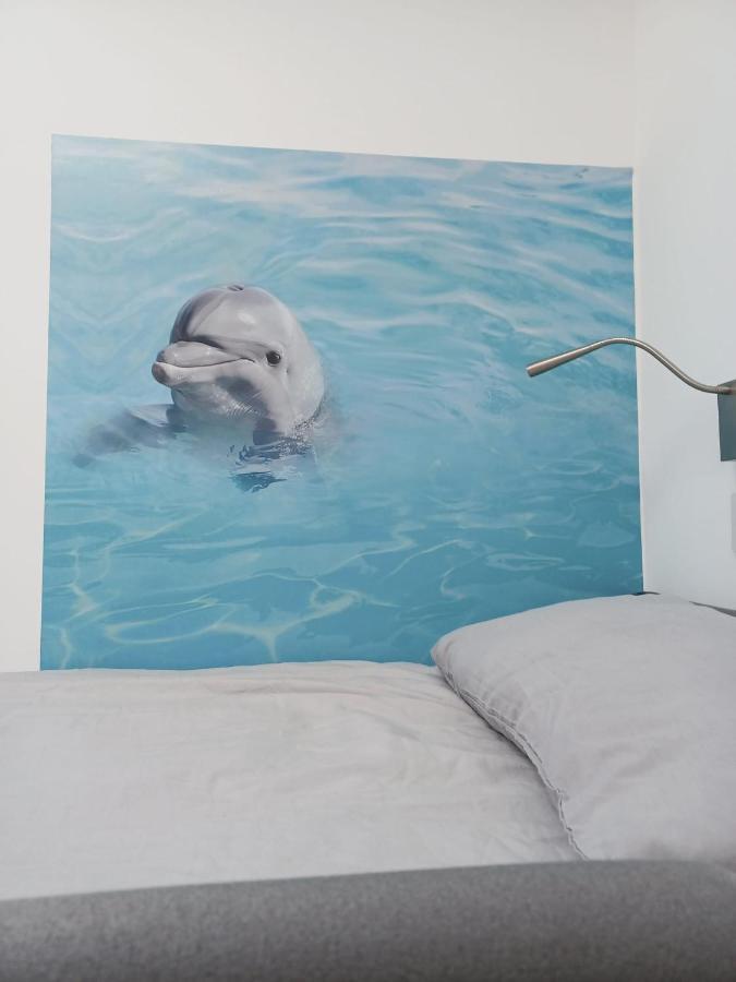 Voyage Hostel - Rooms With Shared Kitchen Douglas Buitenkant foto